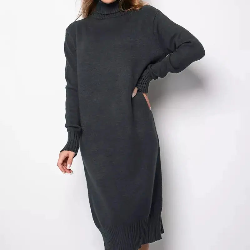 Ribbed Turtleneck Sweater Dress