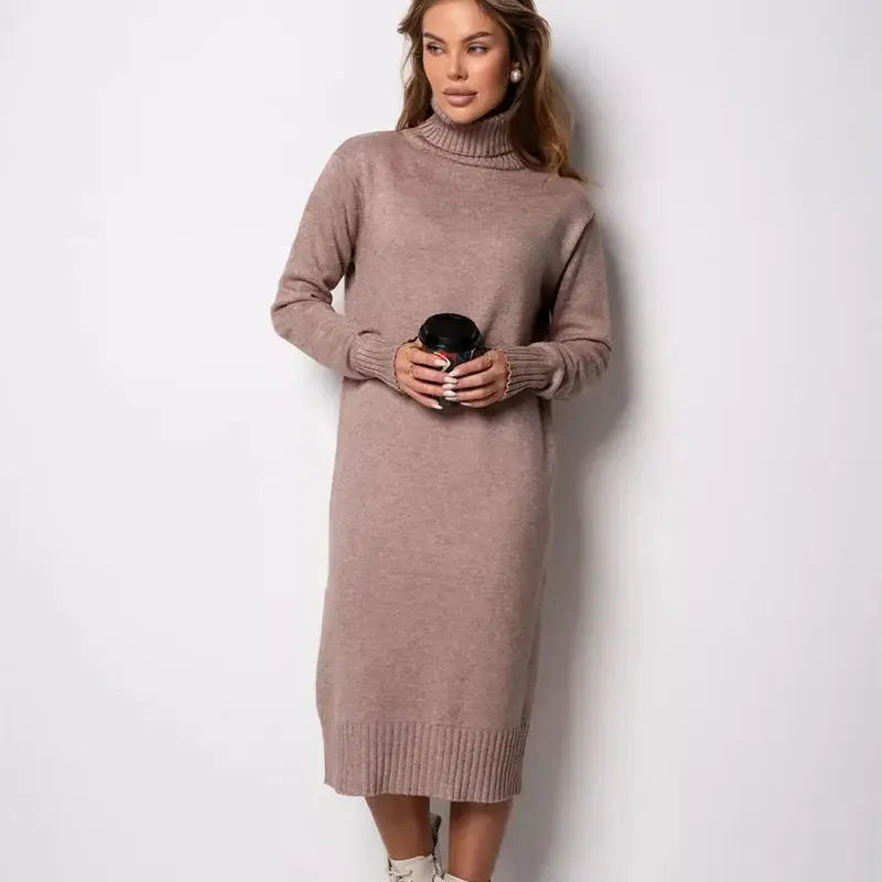 Ribbed Turtleneck Sweater Dress