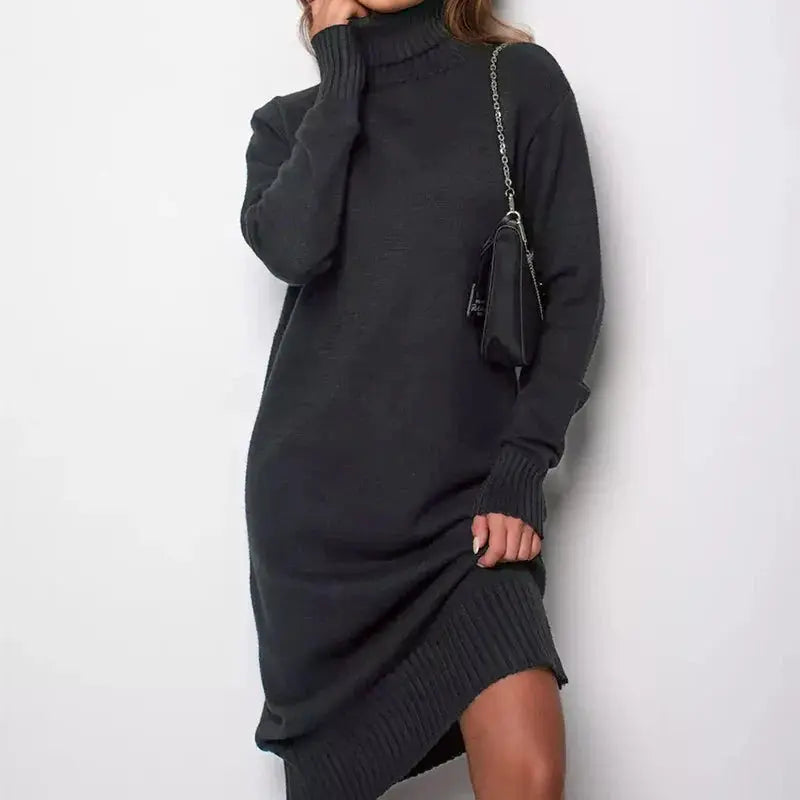 Ribbed Turtleneck Sweater Dress