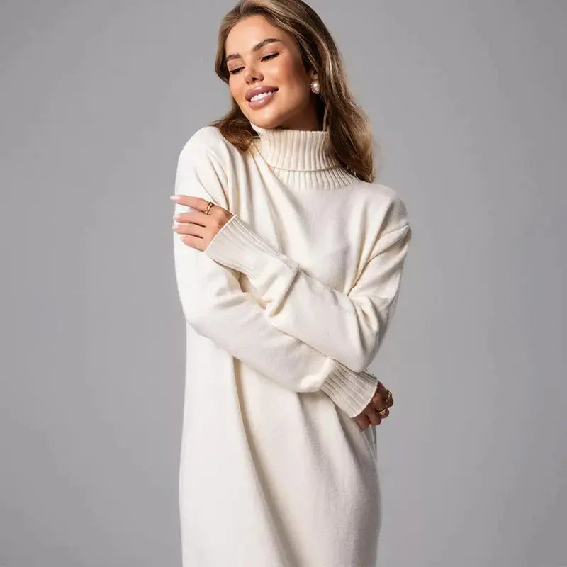 Ribbed Turtleneck Sweater Dress