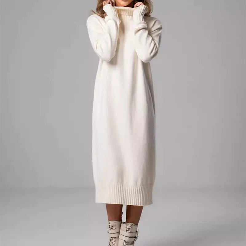 Ribbed Turtleneck Sweater Dress