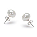 Freshwater Pearl Studs
