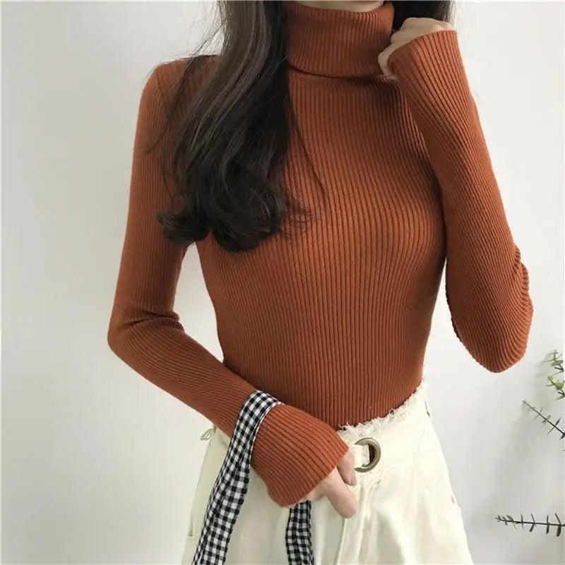 Ribbed Slim Turtleneck