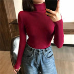 Ribbed Slim Turtleneck