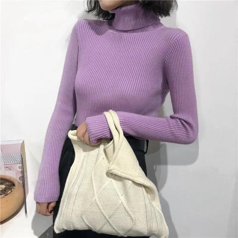 Ribbed Slim Turtleneck