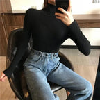 Ribbed Slim Turtleneck