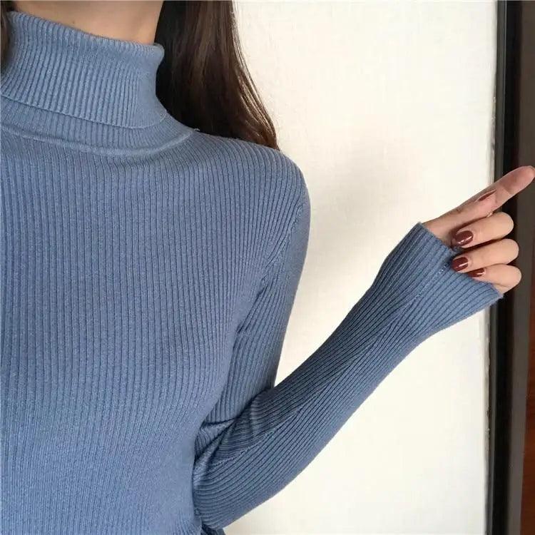 Ribbed Slim Turtleneck