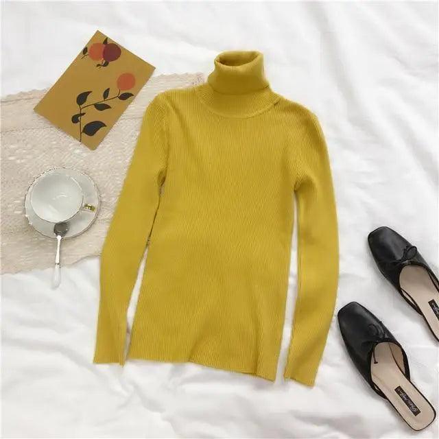 Ribbed Slim Turtleneck