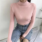 Ribbed Slim Turtleneck