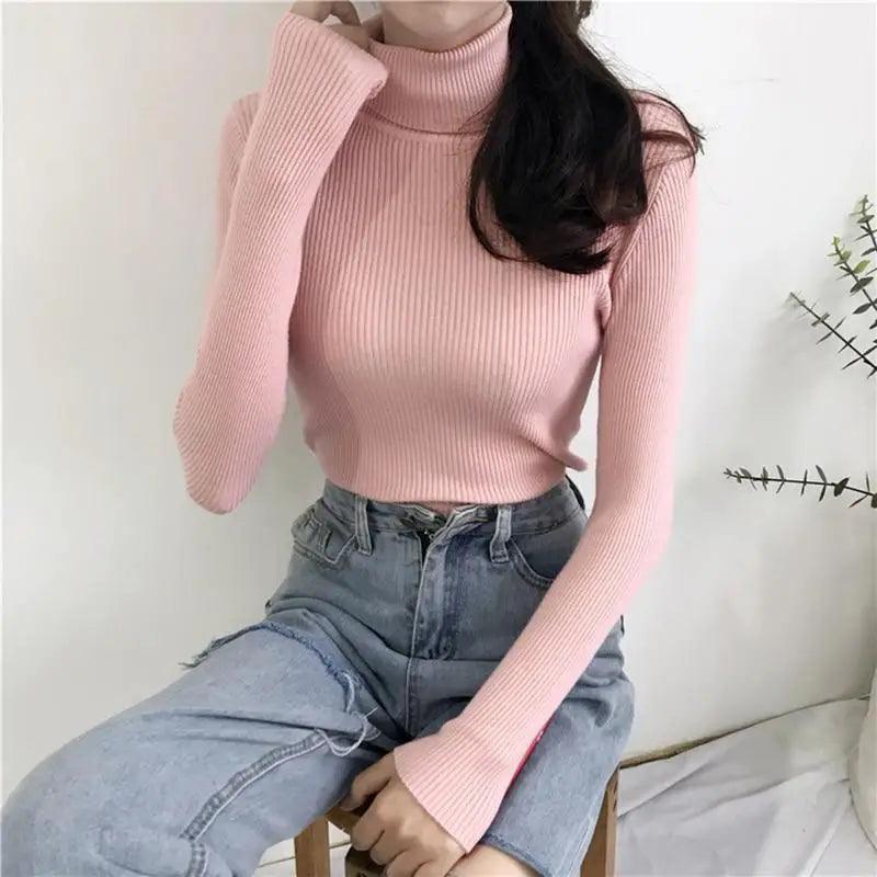 Ribbed Slim Turtleneck