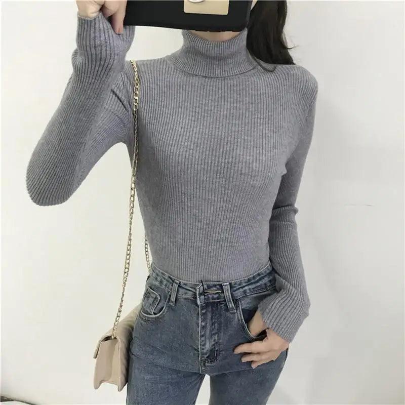 Ribbed Slim Turtleneck